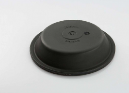 MEMBRANA T24